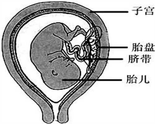 代孕经过放射科门口    放射科的辐射范围有多大