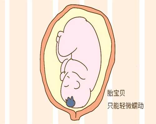 白开水是孕期的最好饮料捐精助孕qq广州_深圳哪