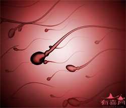 b级精子里有y精子吗：非经期出血严重吗