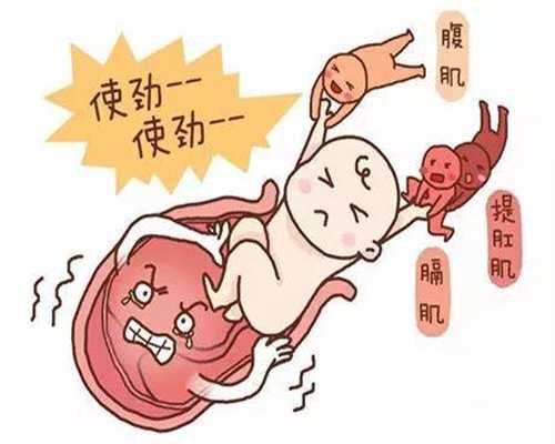 深圳想借腹生子哪里可以_国内代孕咨询