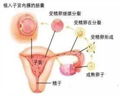 深圳哪里可以做共卵试管_国内那里有靠谱代孕