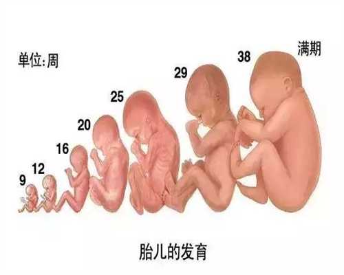 深圳试管前10名医院_深圳三代供卵试管婴儿