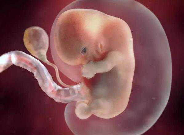 胚胎移植后都有哪些饮食注意事项？