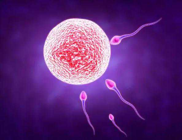 rB6wZ_做胚胎移植前需要注意什么？