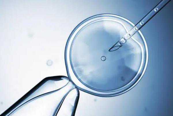 找代怀_代怀孕合法_宁国做试管婴儿鲜胚移植技术比较好的医院在哪里？